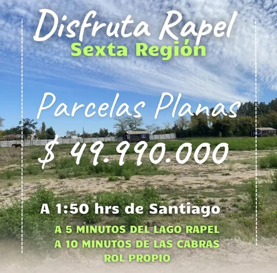 Vive En Armonía Con La Naturaleza En Disfruta Rapel