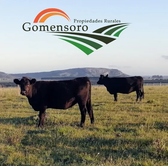 Campo Agrícola, Forestal, Ganadero, Estancia Completa 