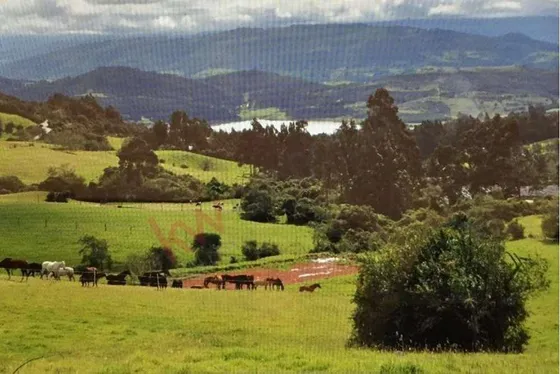 Venta Finca En La Vereda Tierra Negra Sesquilé Cundinamarca-9686 (9686).