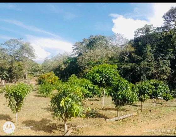 Parcela En Sangil En Venta