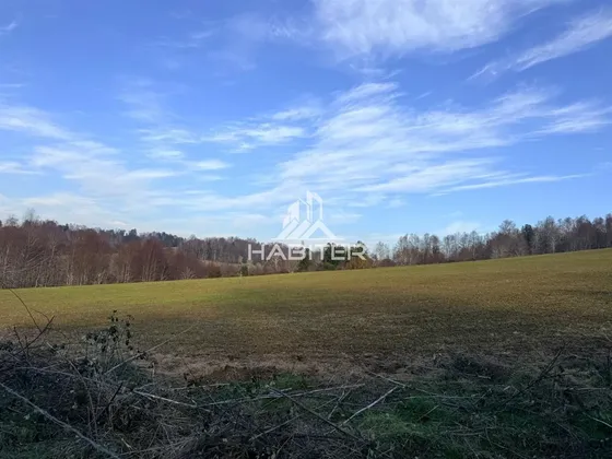 Cod40127 Agrícola En Venta En Cunco 15 Ha. Con Vertiente