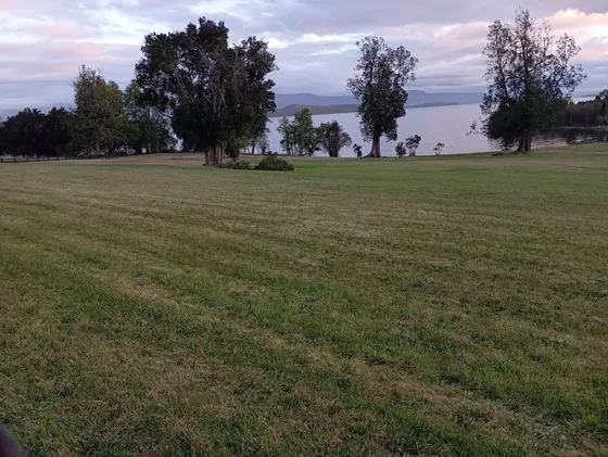 Espectacular Terreno Orilla Lago Futrono