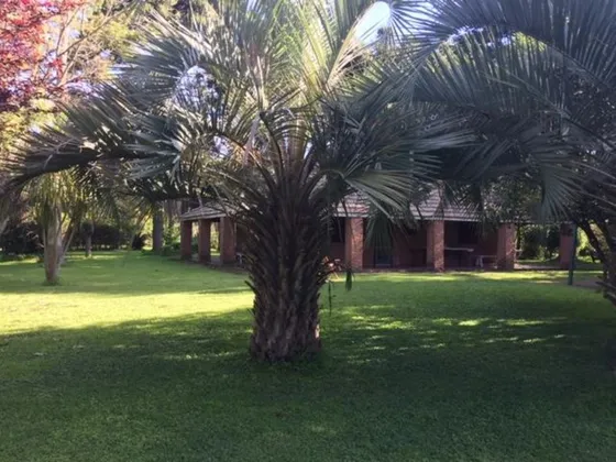 Importante Quinta Con 3 Lotes En Fátima