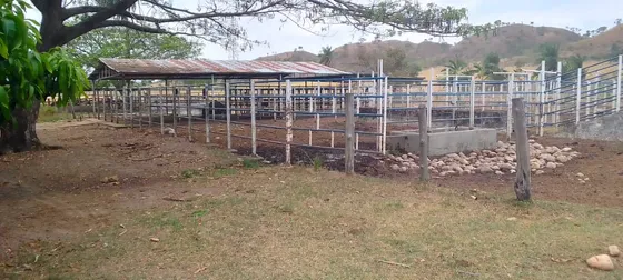Finca Ganadera, Agricola.35ha.agua De Pozo, Luz Constante.hg