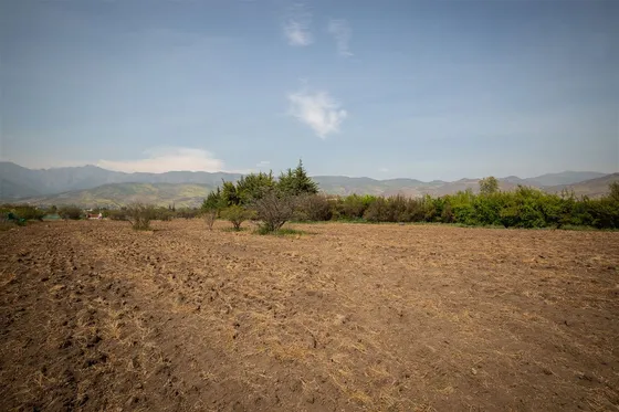 Sitio Polo Manquehue, Chicureo Oriente