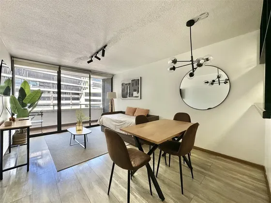 Remodelado 1 Dorm + 1 Baño / Nueva Providencia