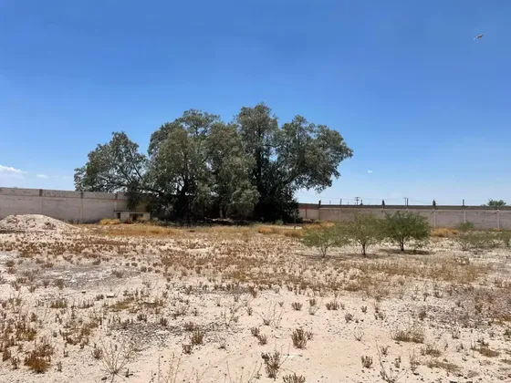 Terreno En Venta En La Partida, Torreón, Coahuila De Zaragoza