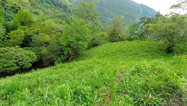 Ganga Finca De 7 Hectáreas, Producción Cafetera O Siembra 