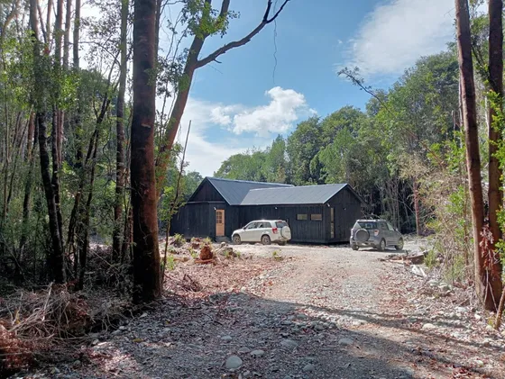 Moderna Casa Inserta En Bosque Nativo