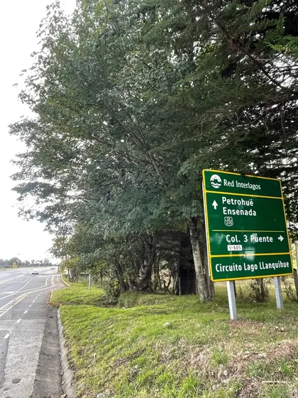 Parcela En Venta Camino Ensenada, Puerto Varas