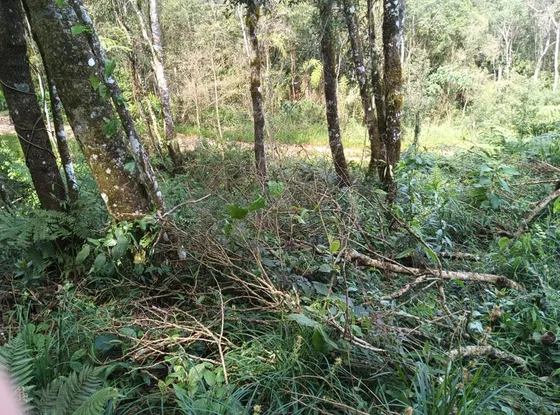 Terreno. 