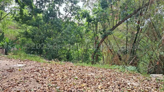Terreno En Venta Lomas De La Trinidad As