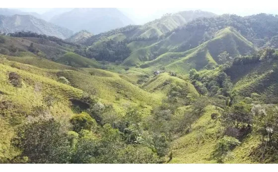 Finca Ganadera Productiva En San Luis Ant Vereda La Josefina