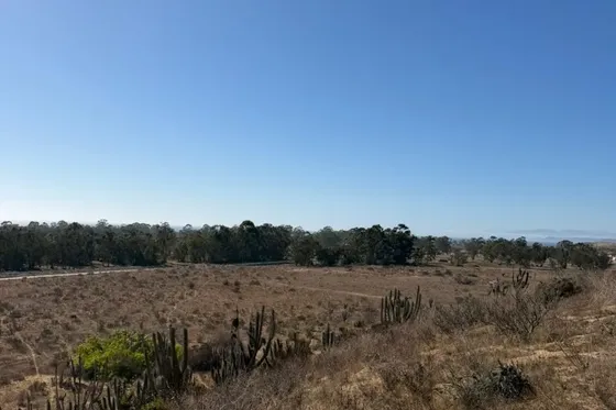 Sitio Con Espectacular Vista A Bahía De Tongoy
