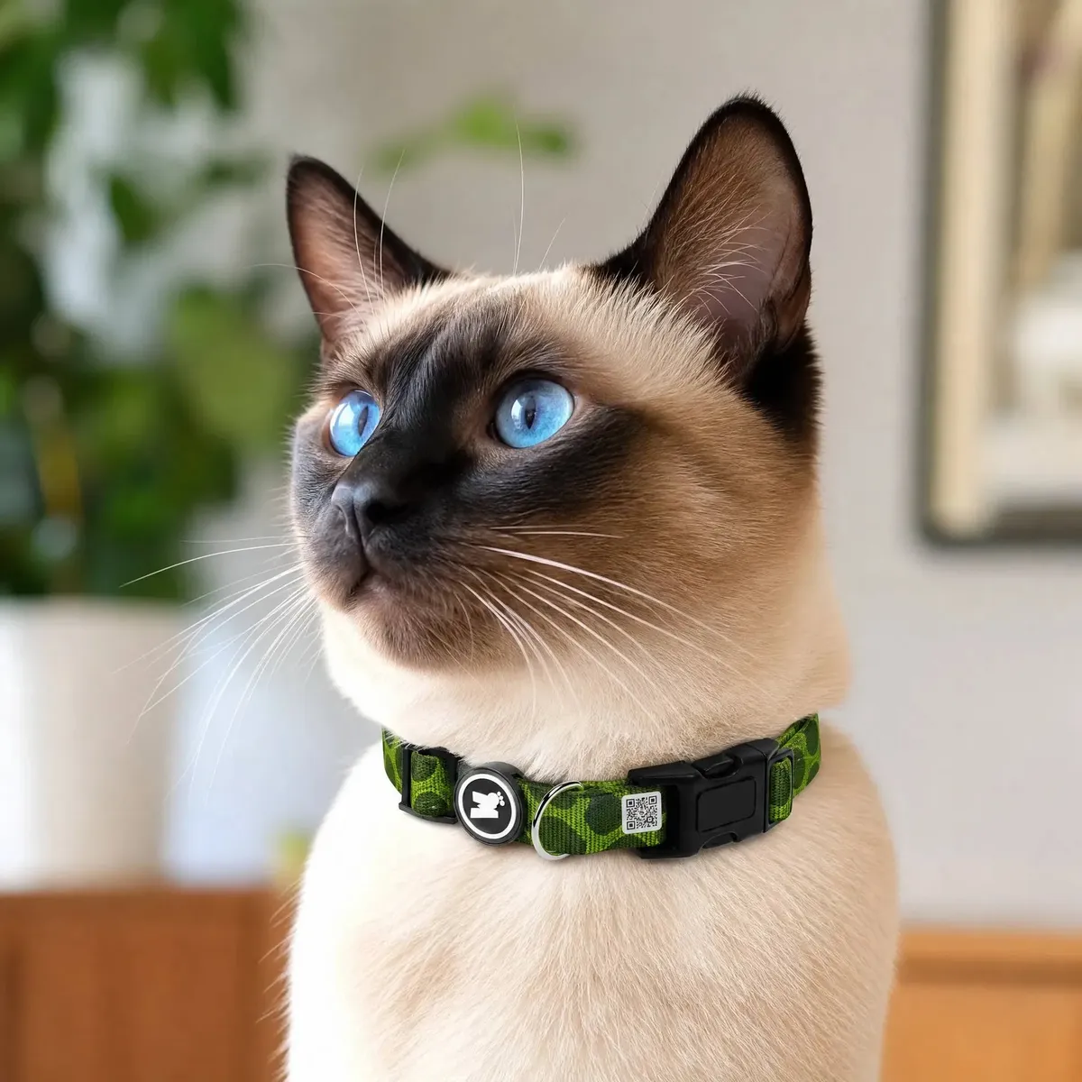 Coleira Cães Gatos Identificação Pet Com Qr Code Localizador
