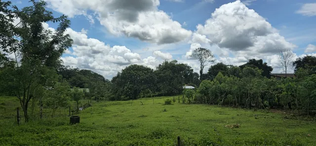 Venta Terreno En Venecia De San Carlos, Alajuela