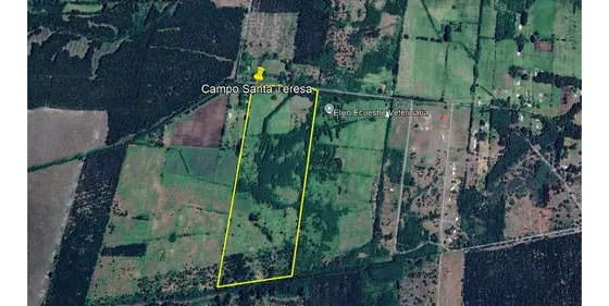 Parcela En Arriendo En Yungay