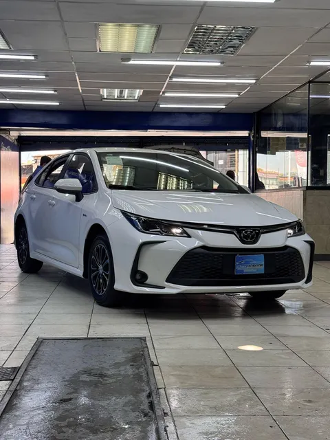 Toyota Corolla Hev Corolla Hev
