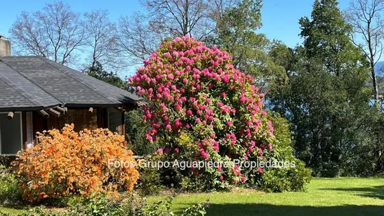 Terreno Con 2 Casas - Pucón Con Orilla De Lago