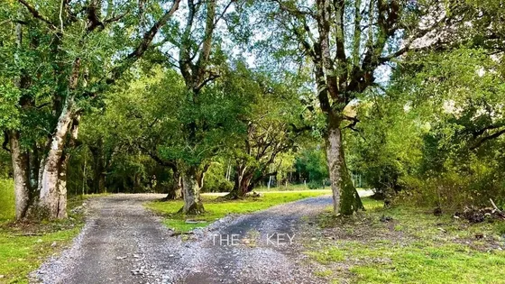 Sitio En Venta En Villarrica
