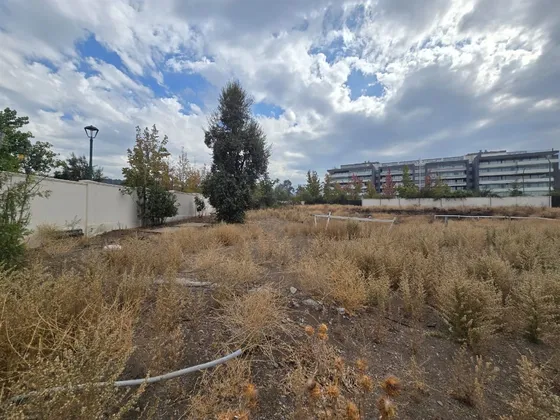 Sitio En Venta En Los Nogales, La Dehesa 