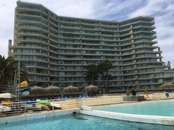 Piscina, Playa, Palmeras, Jardín