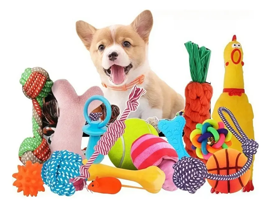 Kit 10 Brinquedos Mordedor Cachorro Filhote Anti Estress Pet