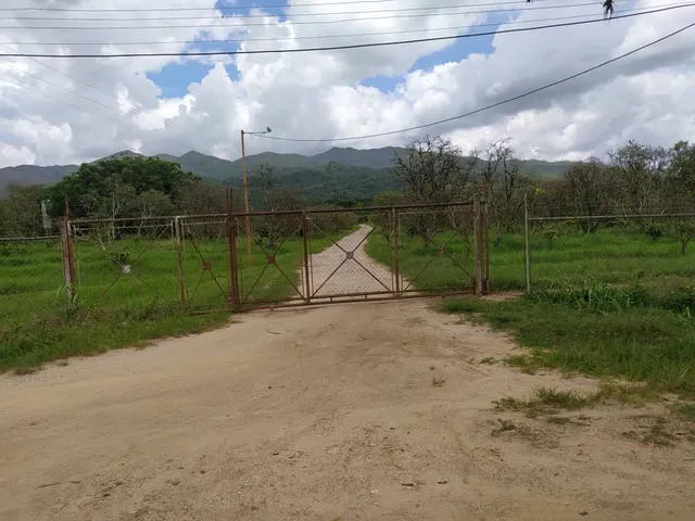 Solo Clientes: Venta Finca En El Edo Carabobo Miranda (mh)