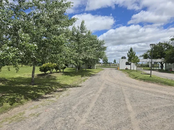 Venta Terreno En Campos De La Enriqueta 