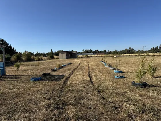 Parcela De Agrado A 10 Minutos De Los Ángeles