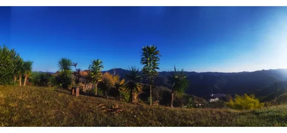 Vendo Terreno 1280 M2 La Lagunita