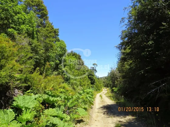 Sitio En Venta En Chonchi