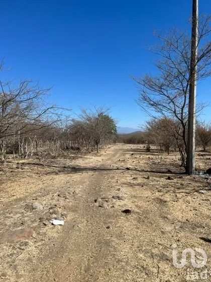 Venta Terreno 0 Ambiente Contlalco