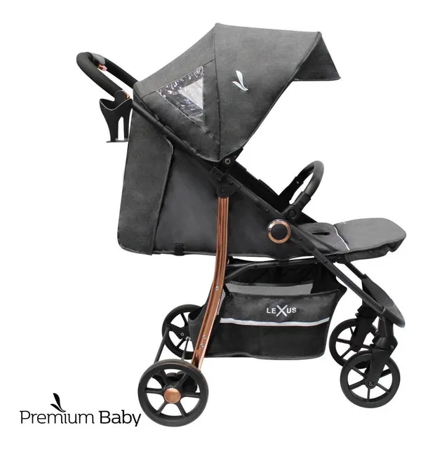 Bebe top travel system