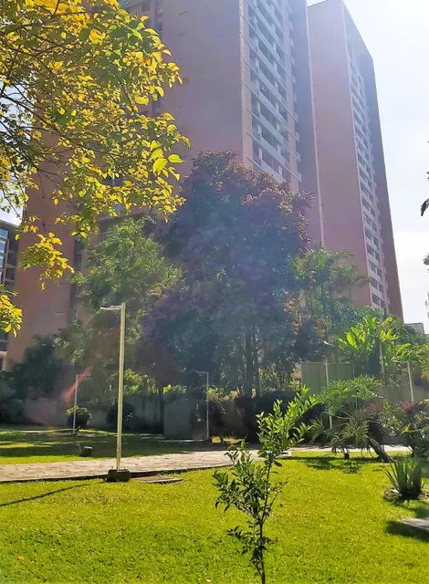 Bello Apartamento Boleita Norte Totalmente Remodelado 2h 2b Balcon Vista Vigilancia Piscina Jardines Agua Constante Excelente Conjunto Ratzina 