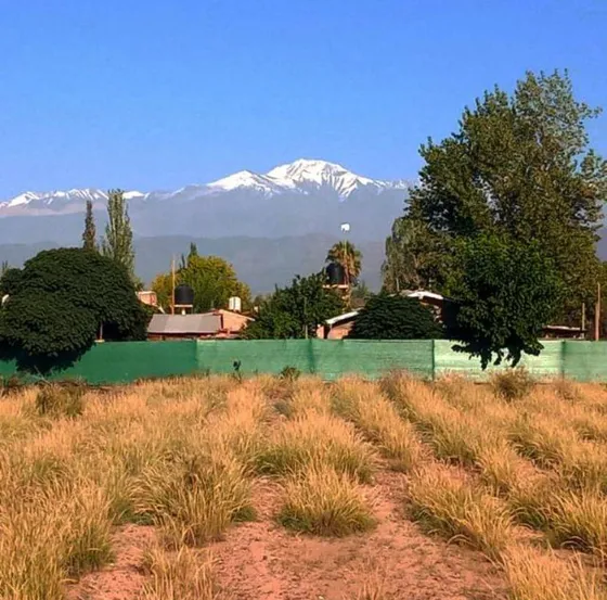 Terreno En Venta Lujan De Cuyo