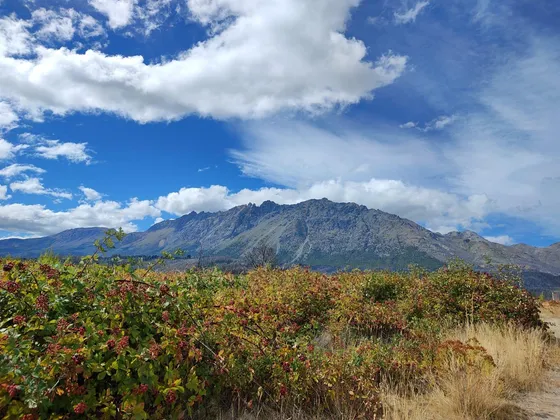 Terreno En  Las Golondrinas Chubut