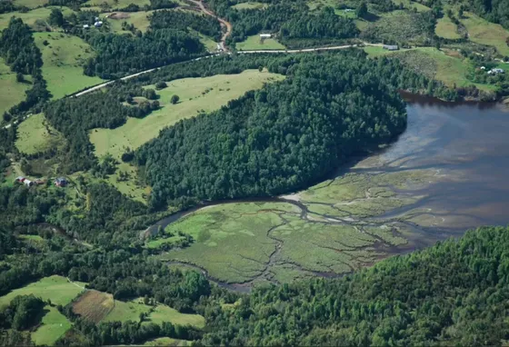 Campo En Chiloé, Con Pampas, Bosques, Mar Y Río.