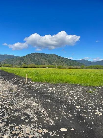 Parcelación Agrícola En San Vicente De Tagua Tagua El Cardal