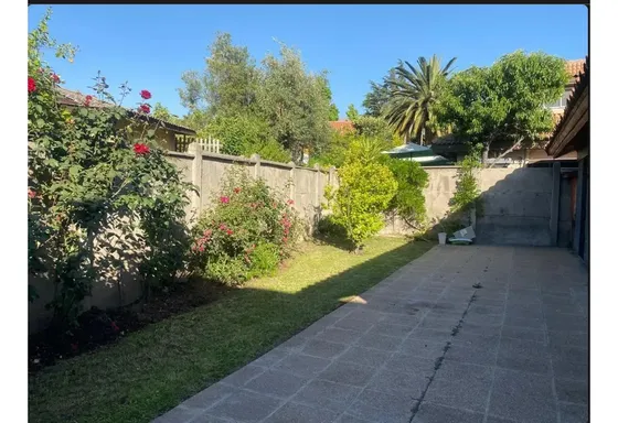 Angostura Inglesa/paul Harris/aislada/jardin