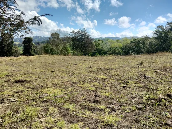Venta De Lote En San Pedro De Los Milagros