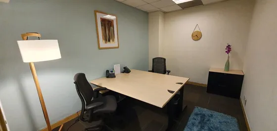 Oficinas Amuebladas Con Servicios Incluidos