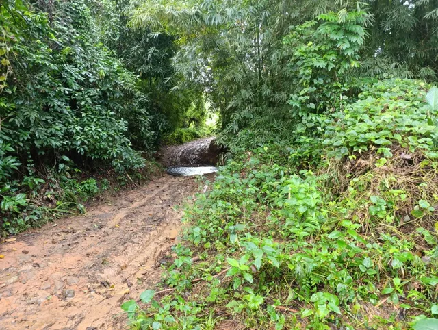 Terreno