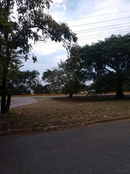 Se Vende Terreno En La Avenida Los Aviadores Palo Negro, Terreno Propio, 007jsc