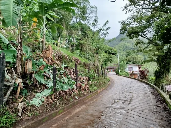 Parcela 