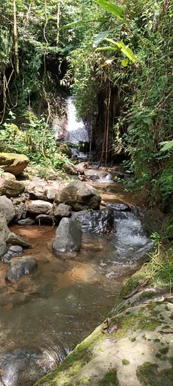 Se Vende Lote  En Génova ,quindío Colombia Cel. 320 7746921