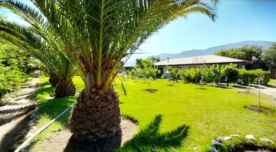 Parcela En Venta En Vicuña