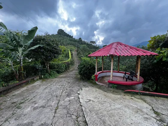 Finca En Venta Combia -pereira (279057869).