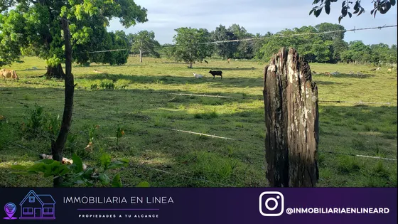 Gran Oportunidad De Finca En Venta