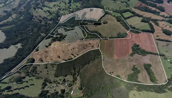 Parcela Frutillar, 5.000m2 Acceso Independiente Lote D6.